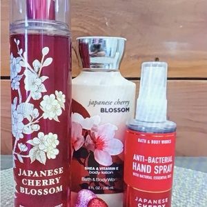 Japanese Cherry Blossom